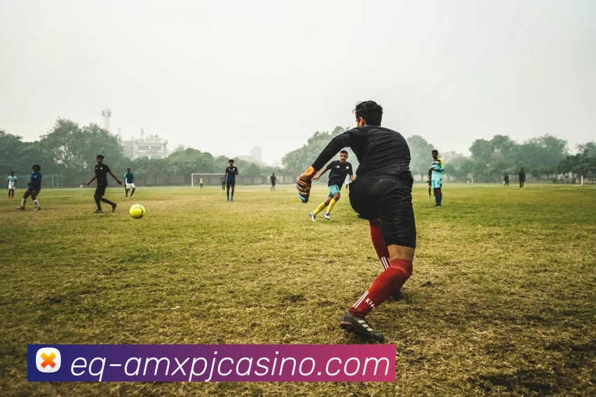 澳门新葡京娱乐APP 封面图